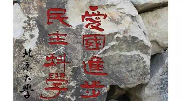 44.webp
